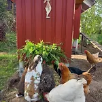 Kleine Haus *