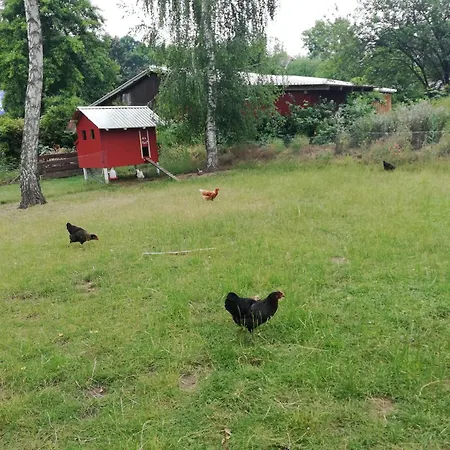 Apartmán Kleine Haus *