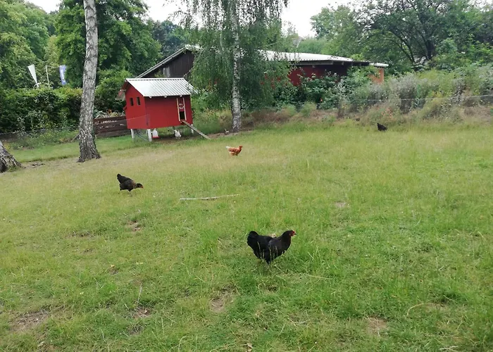 Διαμέρισμα Kleine Haus *